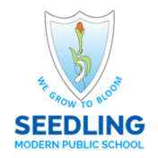 The-Seedling-School