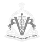 REMOUNT-AND-VETERINARY-CORPS-th-COURSE-REUNION-POLO