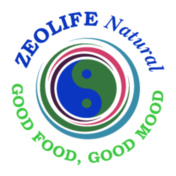 zeolife-men-raglan-polo-t-shirt