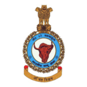 INDIANAIRFORCENOSQUADRON-Polo