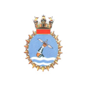 Veer-Class-Womens-Raglan-Polo