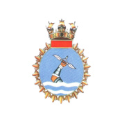 Veer-Class-Womens-RaglanPolo-Full-sleves