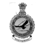 Indian-airforce-no--polo-tshirt