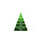 Team-Women-Polo-Shirt