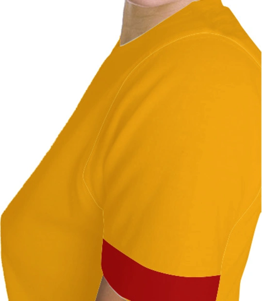 LACOSTE-V-neck-Tees Left sleeve