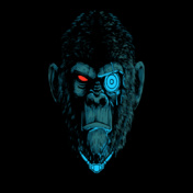monkyrobo