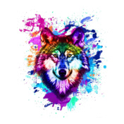 petsdog