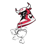 shoesbull
