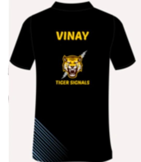vinay-kumar back of blackto polo in UK