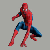 spiderhoodie