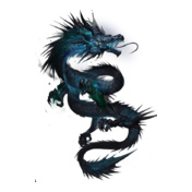 dragonD