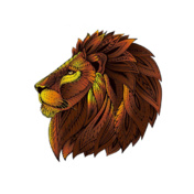 design-