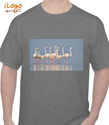 T shirts Flamingos T-Shirt