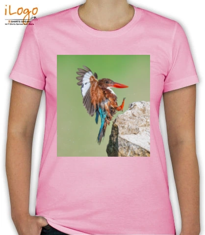 T shirts NAGEE-KF T-Shirt