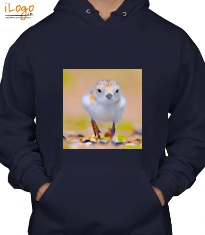 T shirts Piping-P T-Shirt