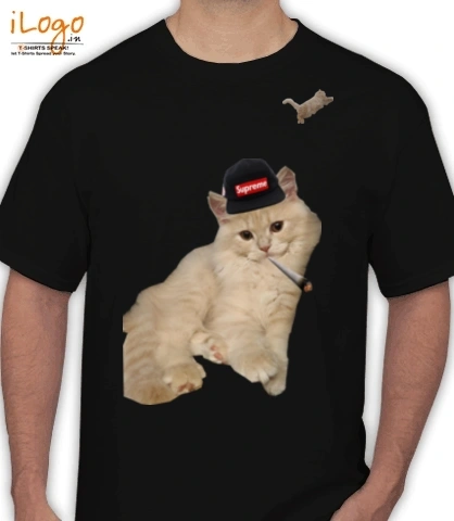 Tshirt Cat-Amogh T-Shirt