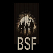BSFARMYF
