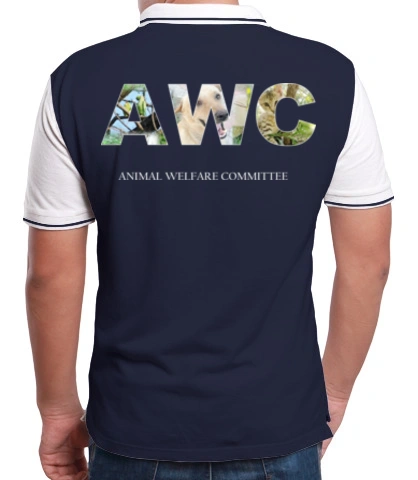 awc-tp-