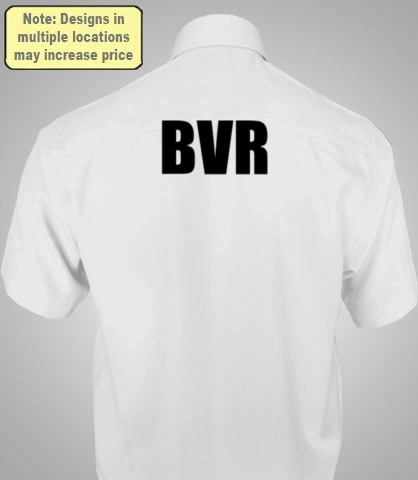 TEAMBVR