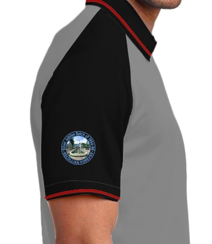 NIT-LOGO- Right Sleeve