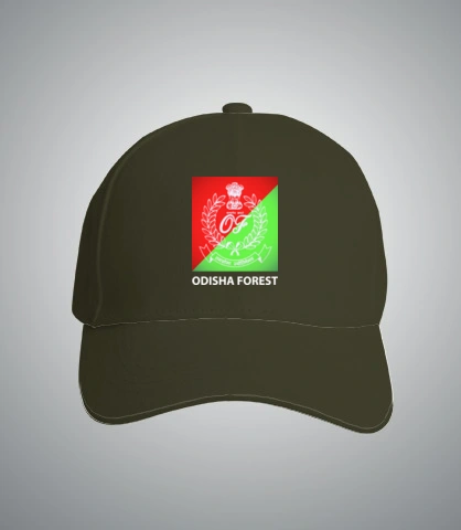 T SHirt odishad T-Shirt