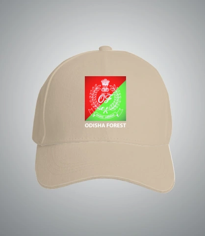 T SHirt odishad T-Shirt