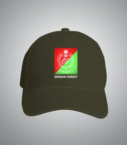 T SHirt odishad T-Shirt