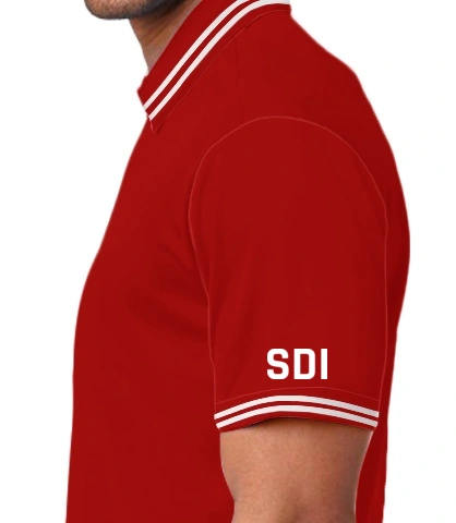 vikrantlogo left sleeve of vikrantlogo in US