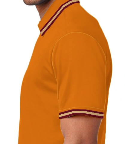 nsaetmpts left sleeve of harshlogo in India