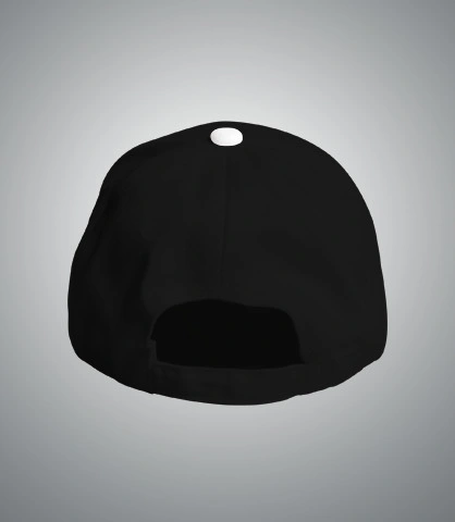 dlifecap back of harshlogo in India