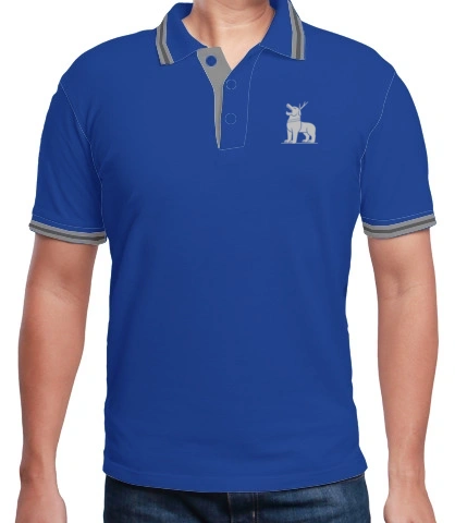 T shirt invinciblepts T-Shirt