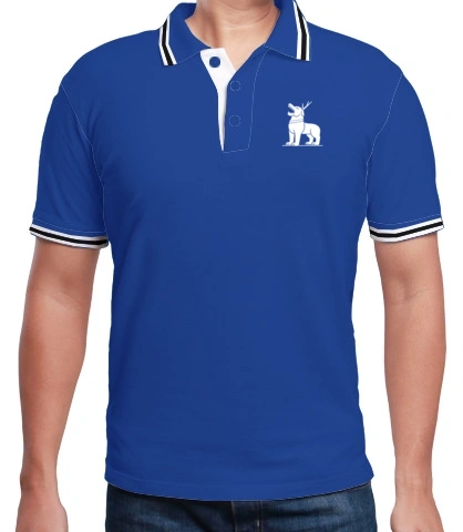 T shirt invinciblepts T-Shirt
