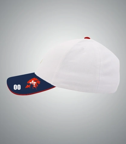 ccctmcap left sleeve of harshlogo in India