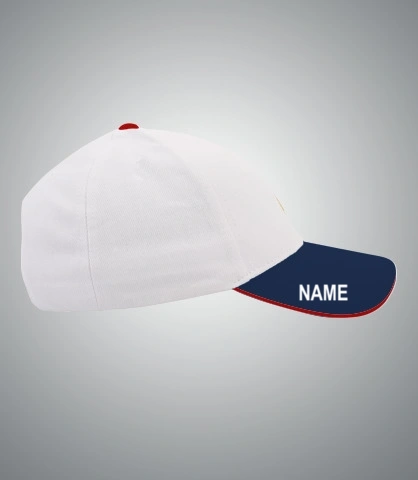 ccctmcap right sleeve of harshlogo in India