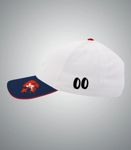 ccctmswcap left sleeve of harshlogo in India