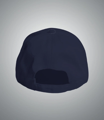 dsllogo