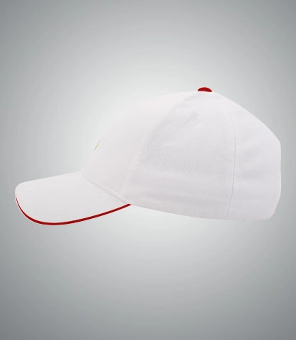 aligd left sleeve of alig in Canada