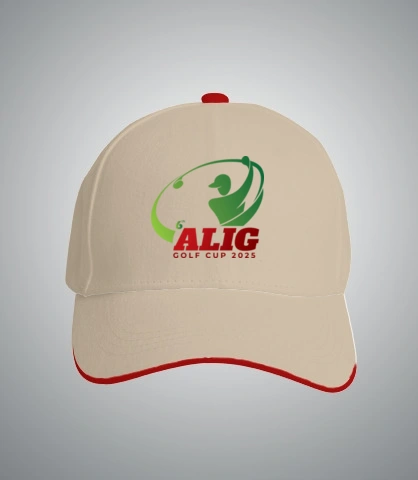 Tshirt aligd T-Shirt