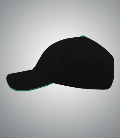 soleniscap left sleeve of harshlogo in India