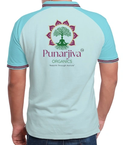 rammohand back of rammohan in India