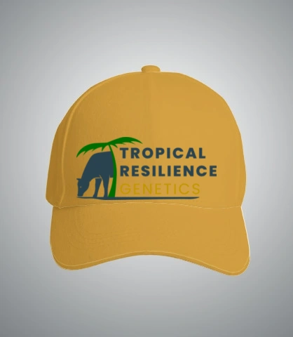 TShirt Tropical T-Shirt