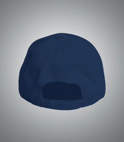 tritek back of cap 23 june  in UK