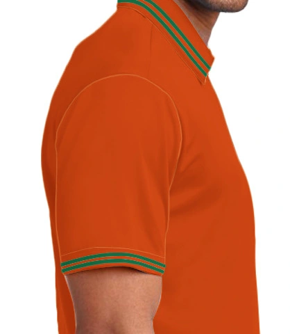 NDA-lions right sleeve of NDA0.1 in UK