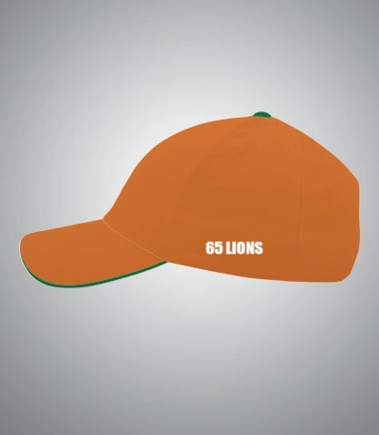 cap- left sleeve of nsb cap in Australia