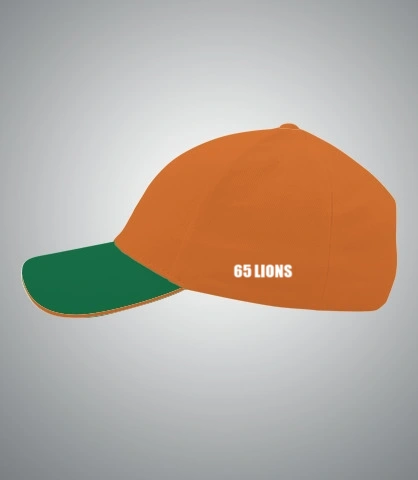 cap- left sleeve of nsb e in Canada