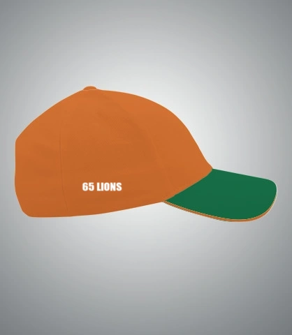 cap- right sleeve of nsb e in Canada