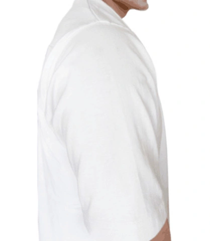 evobiornts right sleeve of harshlogo in India