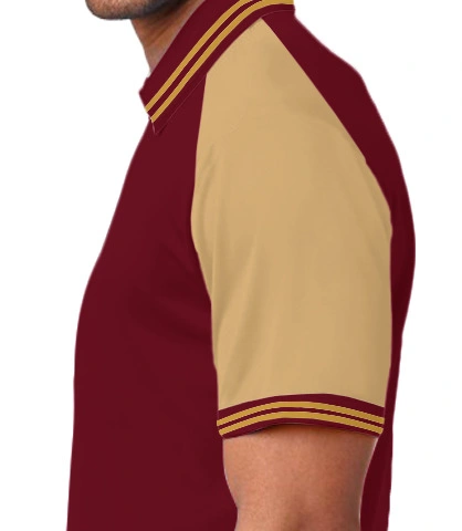 dssupts left sleeve of harshlogo in India