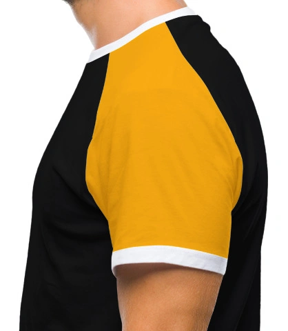 musicalgrpts left sleeve of harshlogo in India