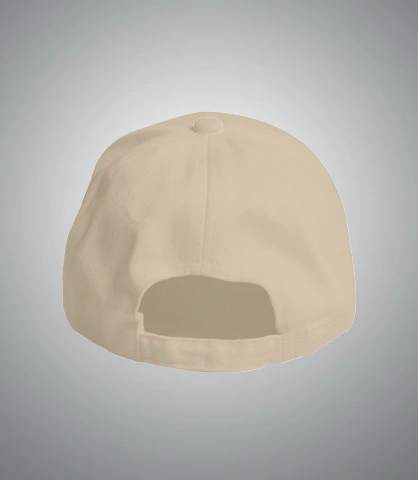 Pranmitlogo back of paranmit in Canada
